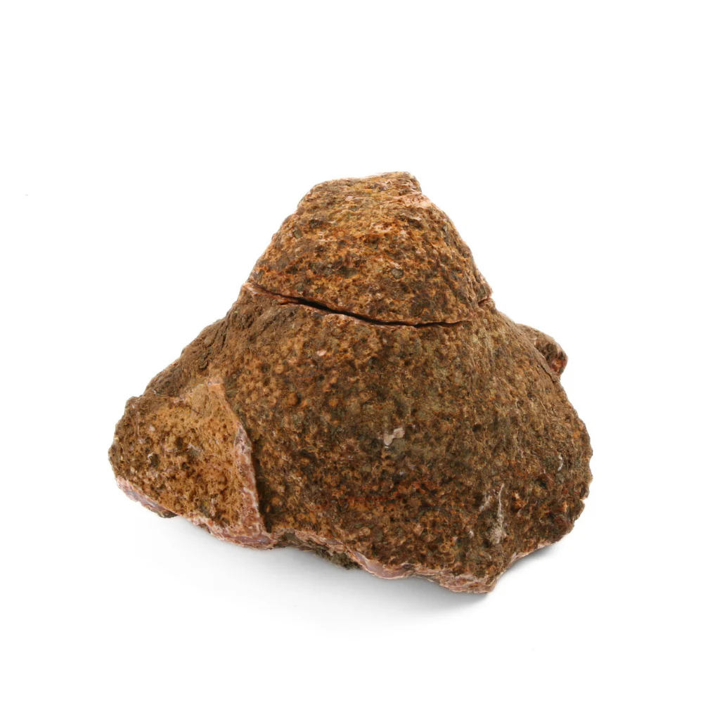 Miniatuur 1