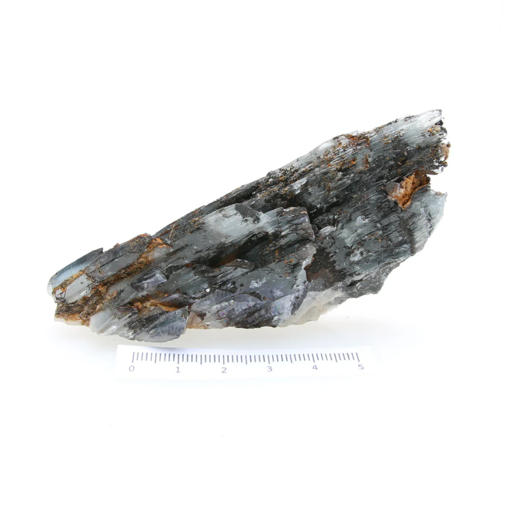 Miniatuur 2